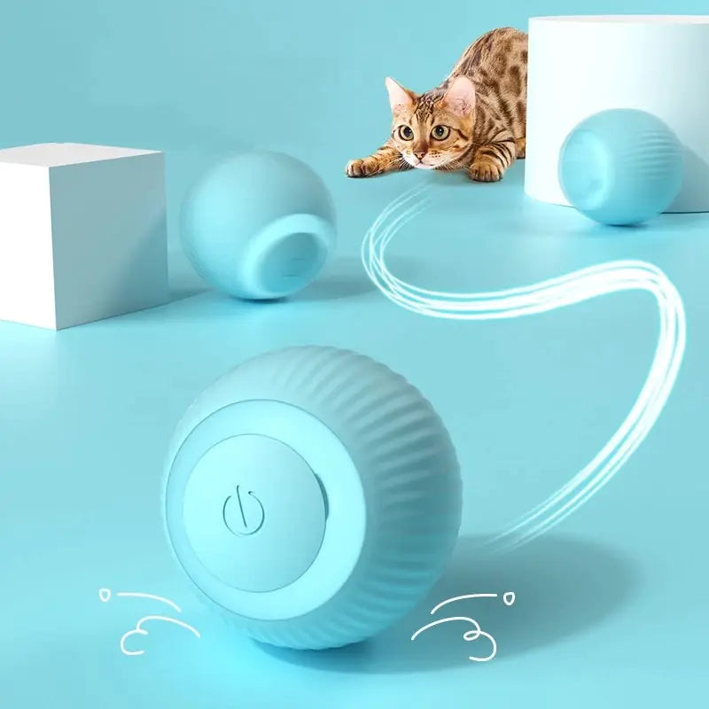 Pets Smart Rolling Ball