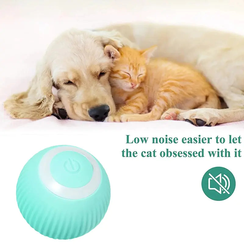 Pets Smart Rolling Ball